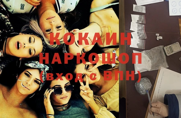 стафф Алексин