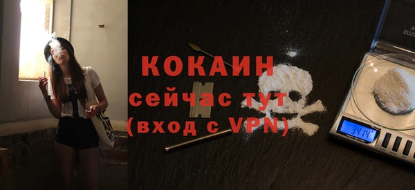стафф Алексин