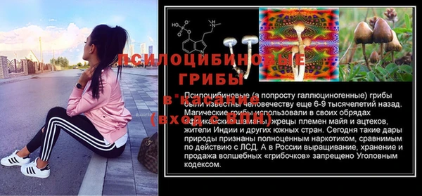 индика Абдулино