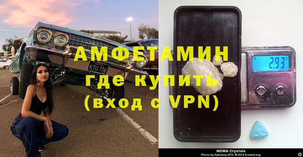 шишки Абаза