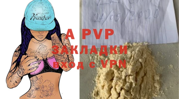 стафф Алексин
