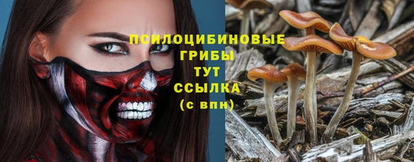 прущие крисы Алзамай