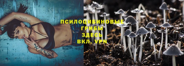 apvp Абинск